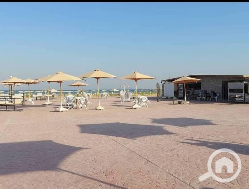 4 WhatsApp Image 2026-01-04 at 19.19. 46 (4). jpeg