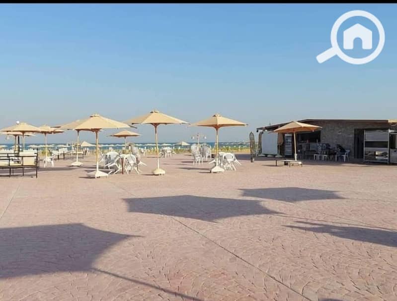 4 WhatsApp Image 2026-01-04 at 19.19. 46 (4). jpeg