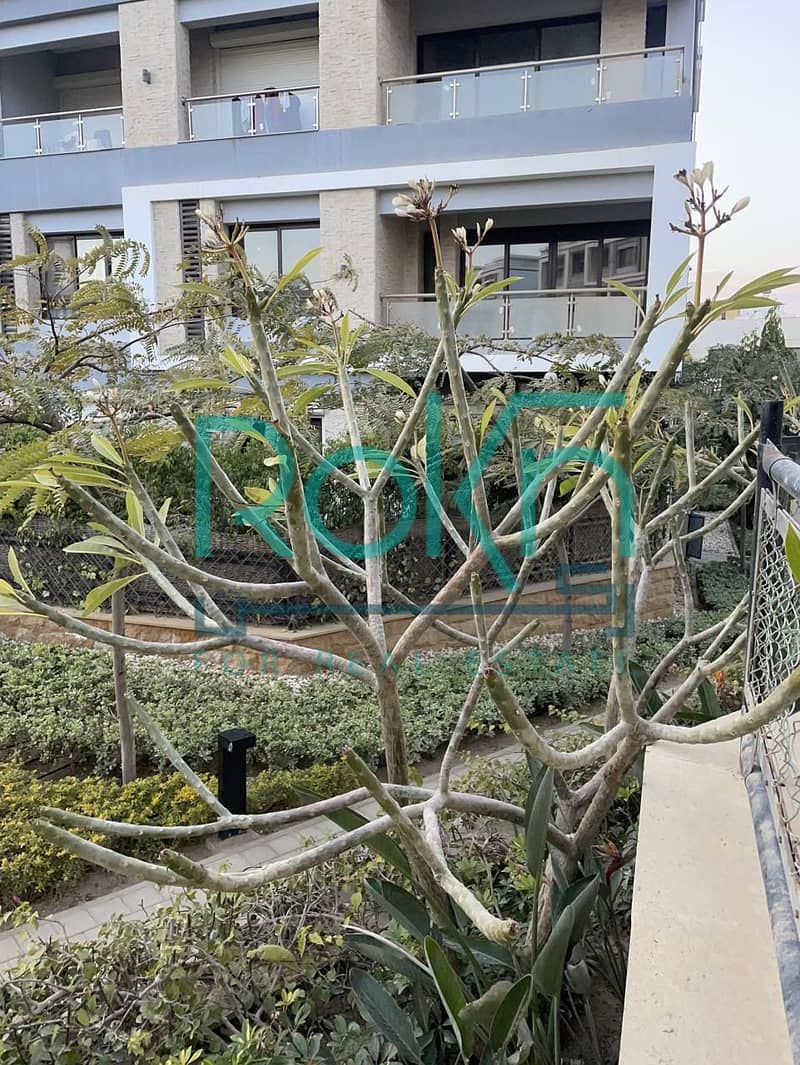 8 WhatsApp Image 2026-01-05 at 15.17. 03. jpeg