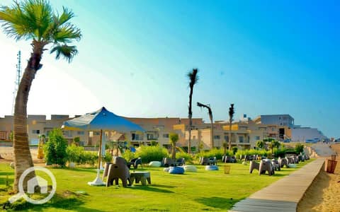 شاليه 1 غرفة نوم للبيع في العين السخنة، السويس - WhatsApp Image 2026-01-05 at 3.30. 08 PM. jpeg