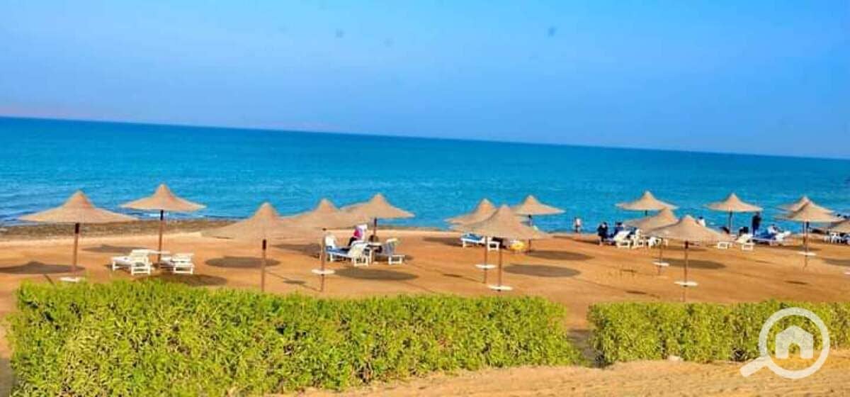 12 WhatsApp Image 2026-01-05 at 3.30. 11 PM (1). jpeg