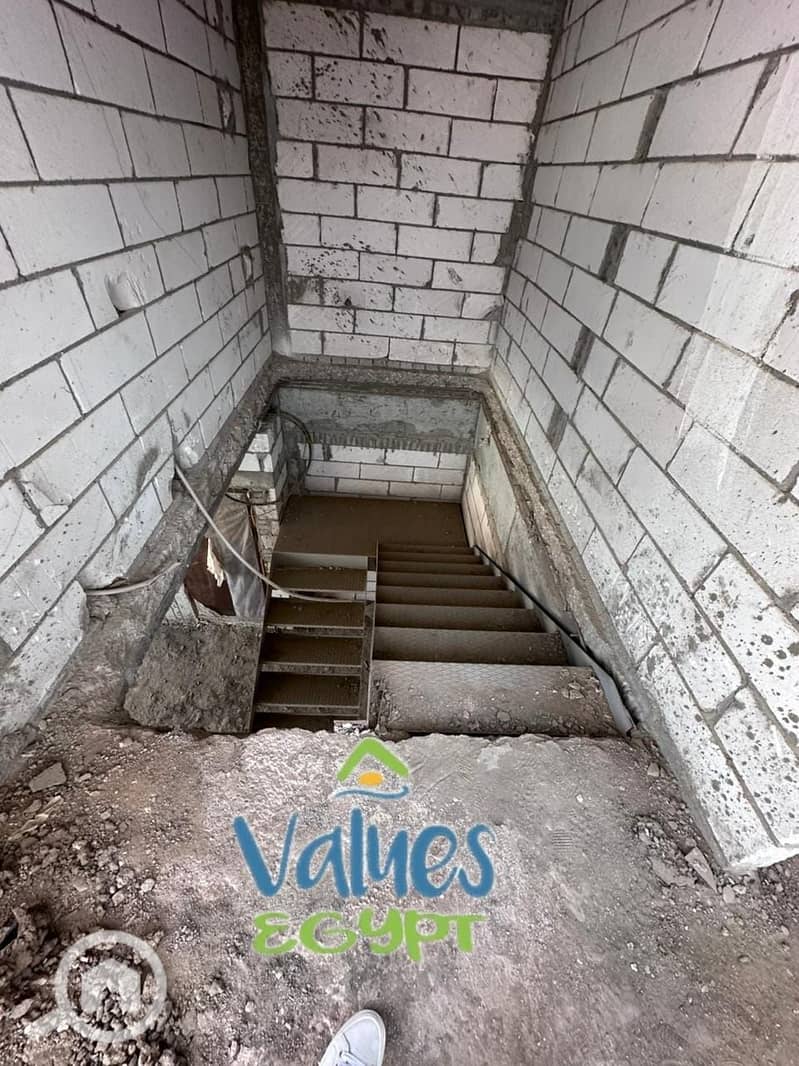 12 cf3d64fe-a7ca-416f-8f37-95edc8549ce4. jpeg