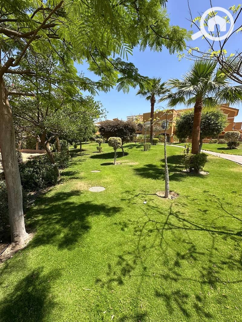 12 WhatsApp Image 2025-07-25 at 14.34. 17_21cb961c. jpg