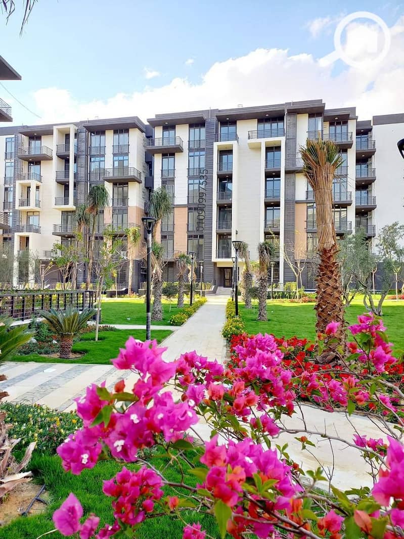 7 photo_2025-09-20_14-24-57. jpg