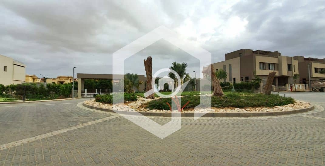 4 Palm Valley 4. jpg