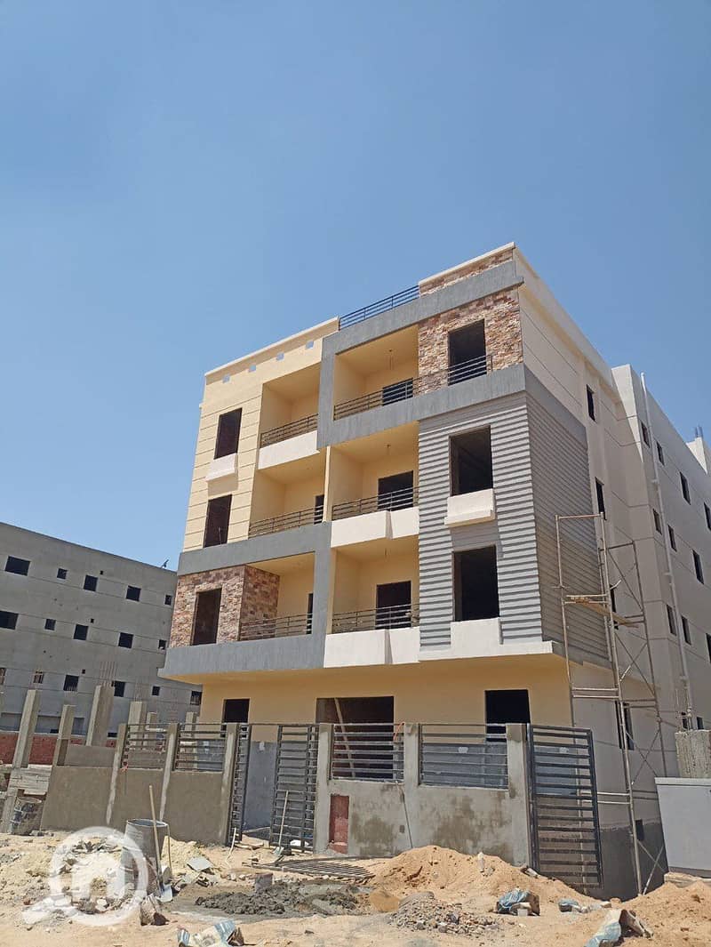 5 photo_10_2025-12-18_14-35-51. jpg