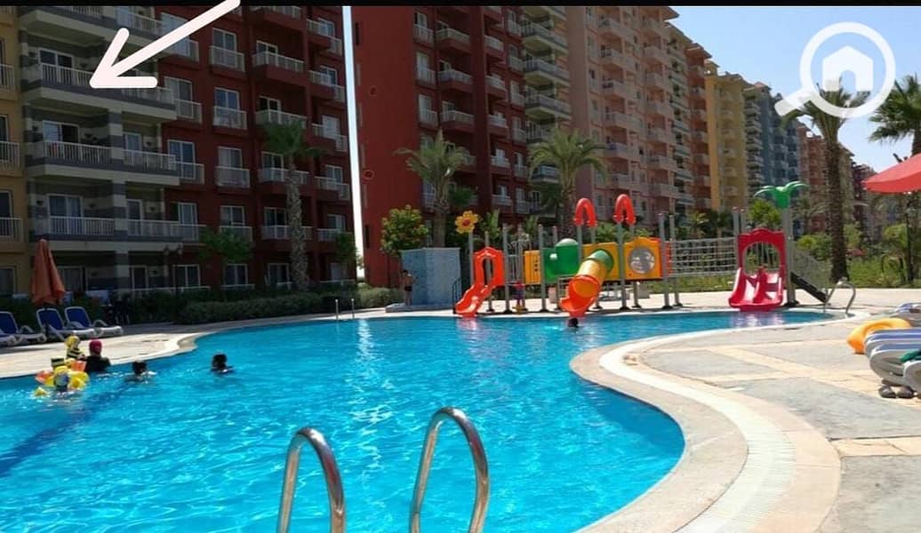 3 WhatsApp Image 2026-01-05 at 12.19. 26 PM. jpeg