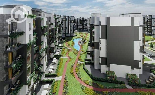 6 Venia-New-capital-6. jpg