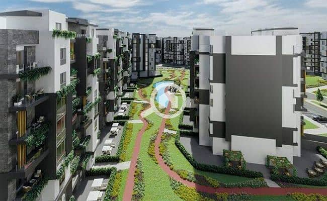 6 Venia-New-capital-6. jpg