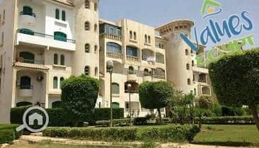 ef24253b-8df3-4469-ad0d-ec3d1121dd66. jfif. jpg ef24253b-8df3-4469-ad0d-ec3d1121dd66. jfif. jpg