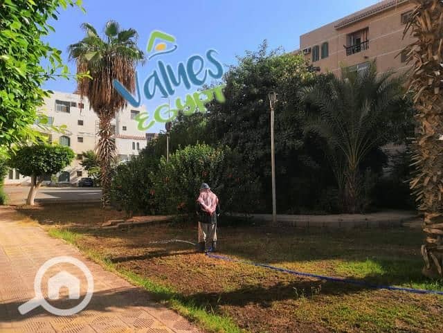 6 36e3fb8f-8bb5-43db-8445-d0ac9e87b3da. jfif. jpg