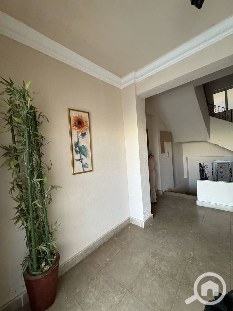 6 8775323e-da39-4878-8aca-b3d6425332f9. jpeg