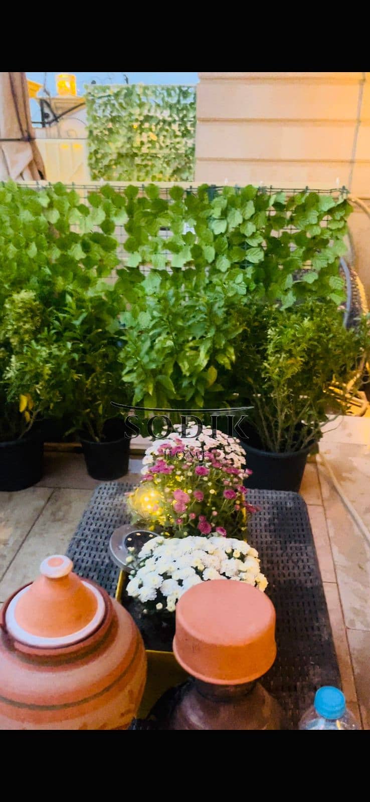 3 2b7946c8-8e10-4096-b8c1-0cb0931a16bf. jpg