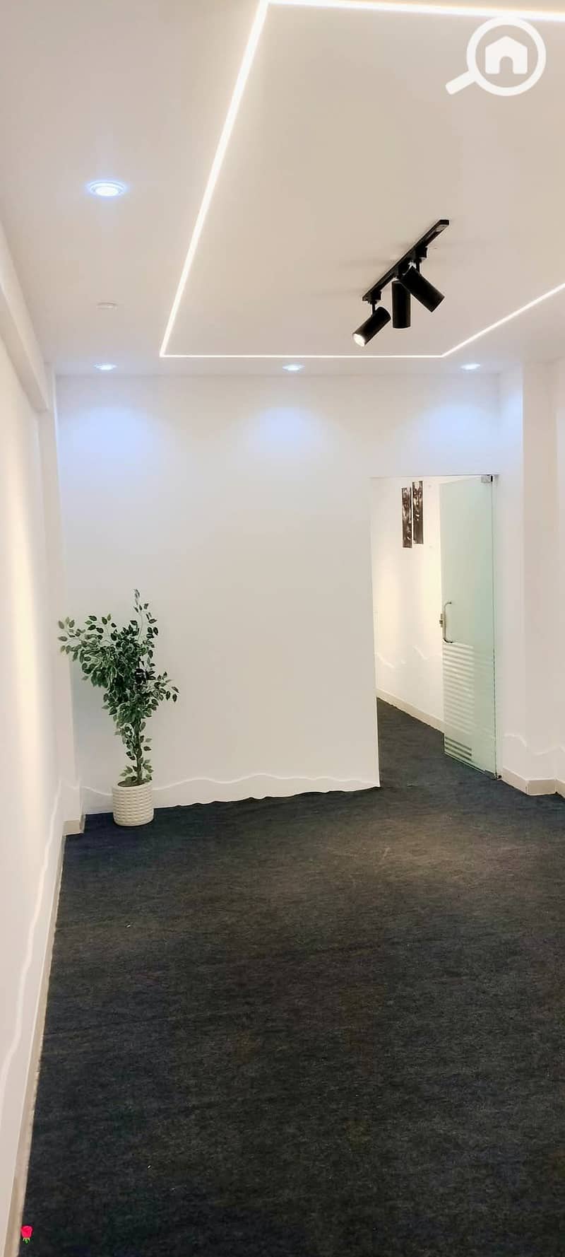 7 a68c2a50-a68d-452d-87e5-96e162b4d294. jpg