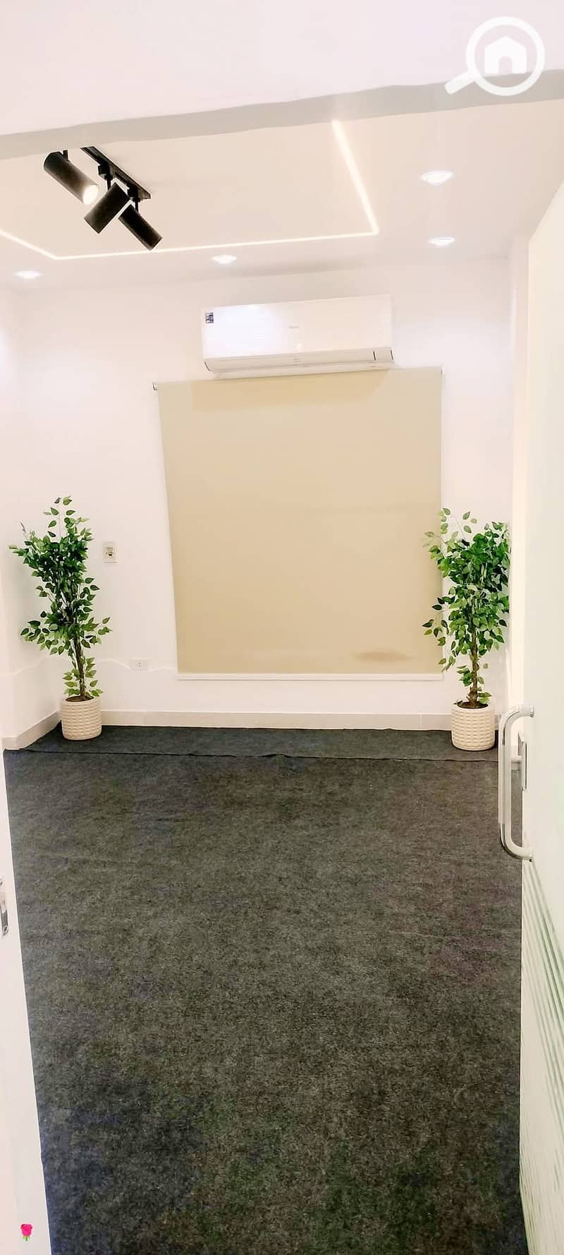 12 e931b5fc-8210-41c5-a58b-a405648c580e. jpg