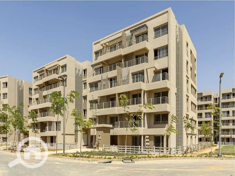 3 1649930341-PH_Web_1250x625-CG-1. jpg