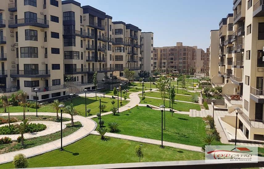 9 1060267-7f961o. jpg