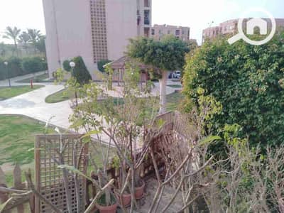 فلیٹ 2 غرفة نوم للايجار في القاهرة الجديدة، القاهرة - 1000232325. jpg