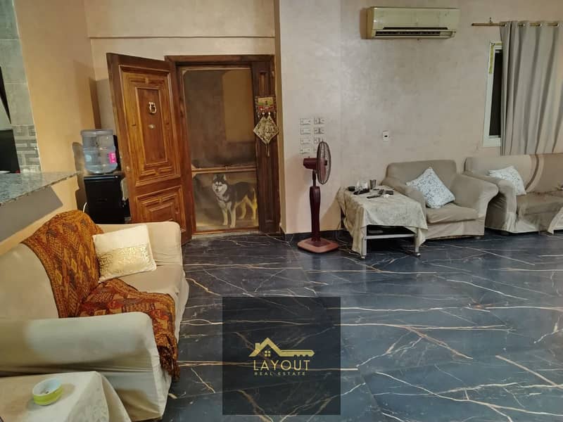 12 ec748b60-c67f-496a-b0b3-91b538995ca0. jpg