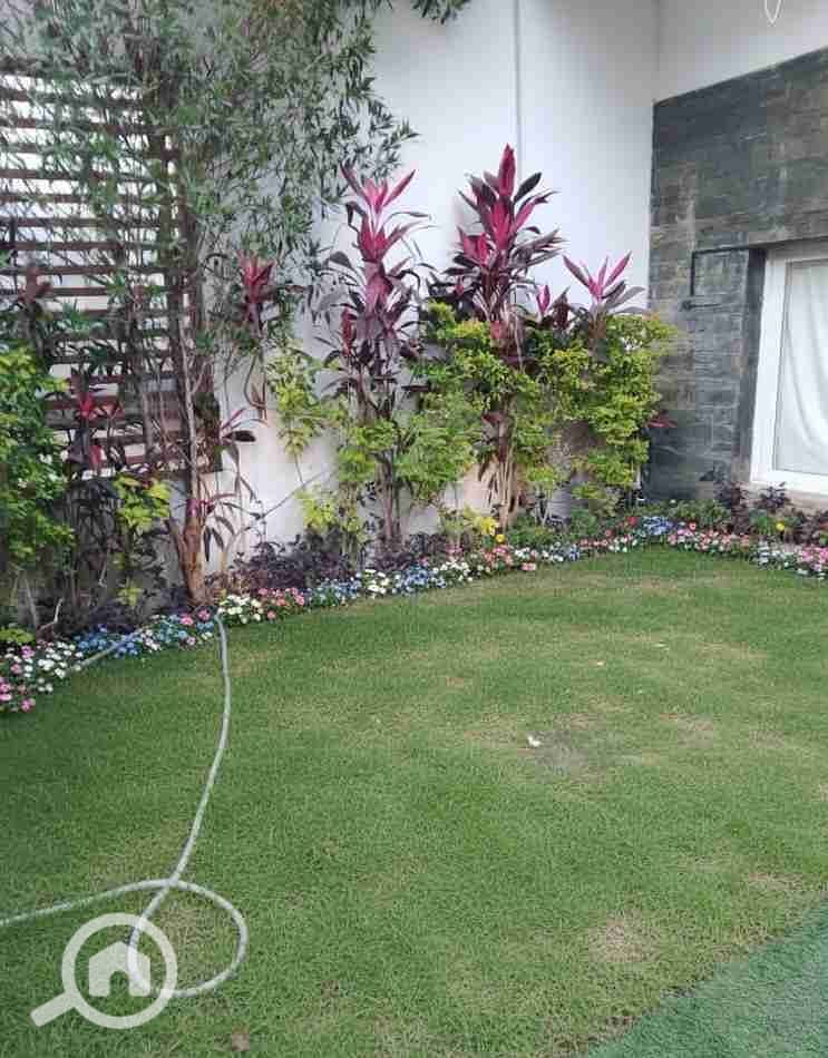 1000078950. jpg 1000078950. jpg