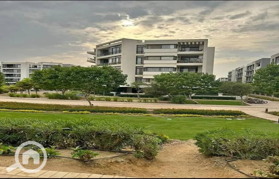 5 8fc01516-62ed-4142-832d-e1247ee4e20d. jpg