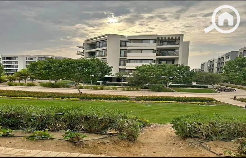 4 8fc01516-62ed-4142-832d-e1247ee4e20d. jpg