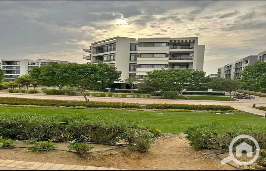 4 8fc01516-62ed-4142-832d-e1247ee4e20d. jpg