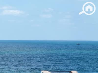 فلیٹ 2 غرفة نوم للايجار في سبورتنج، الإسكندرية - 6dc9f908-d9e9-43c0-aed6-50bbfa5808af. jpg