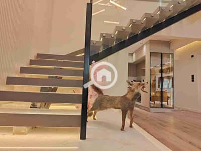 بنتهاوس 4 غرف نوم للبيع في القطامية، القاهرة - IMG-20251125-WA0014. jpg