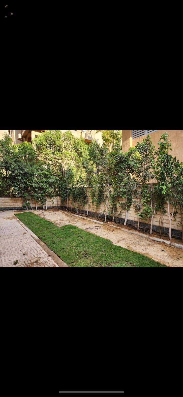 2 WhatsApp Image 2026-01-04 at 11.33. 28899. jpeg