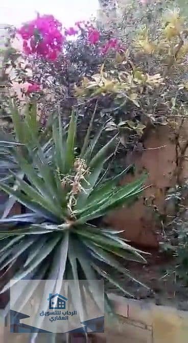 11 cde31f68-529c-4ca6-901c-da7266b7d04b_000021. jpg