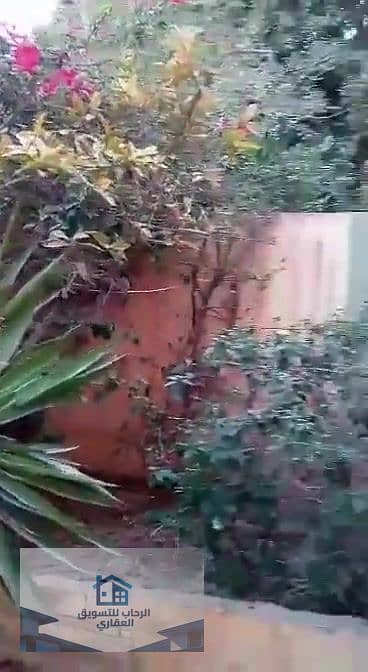 12 cde31f68-529c-4ca6-901c-da7266b7d04b_000022. jpg