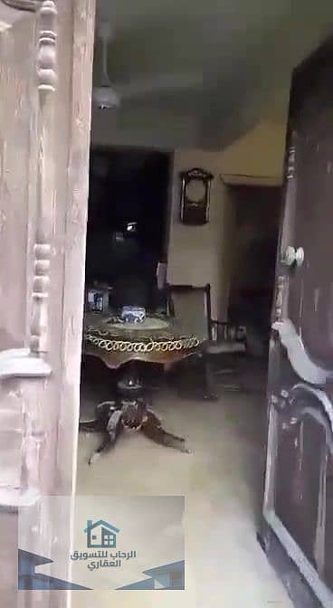 14 cde31f68-529c-4ca6-901c-da7266b7d04b_000027. jpg