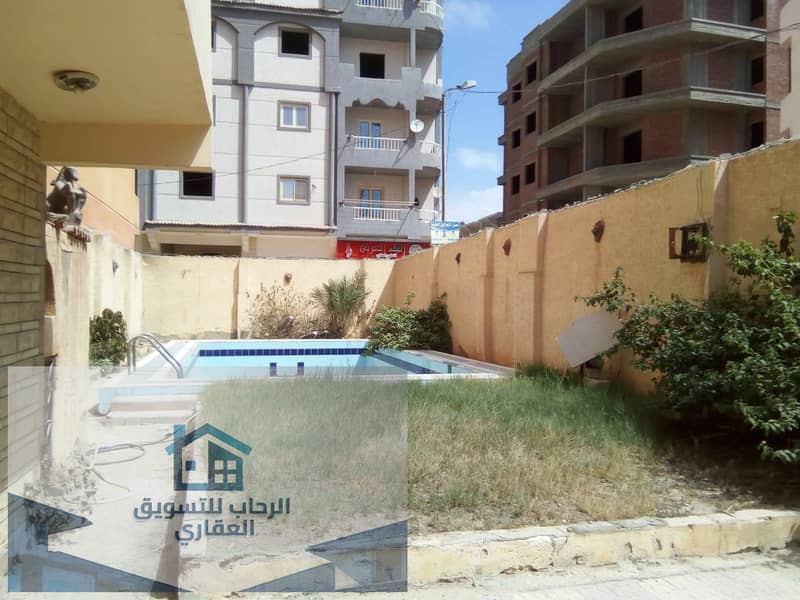 40 f568a74f-9dee-4657-91f5-af716d6672f3. jpg