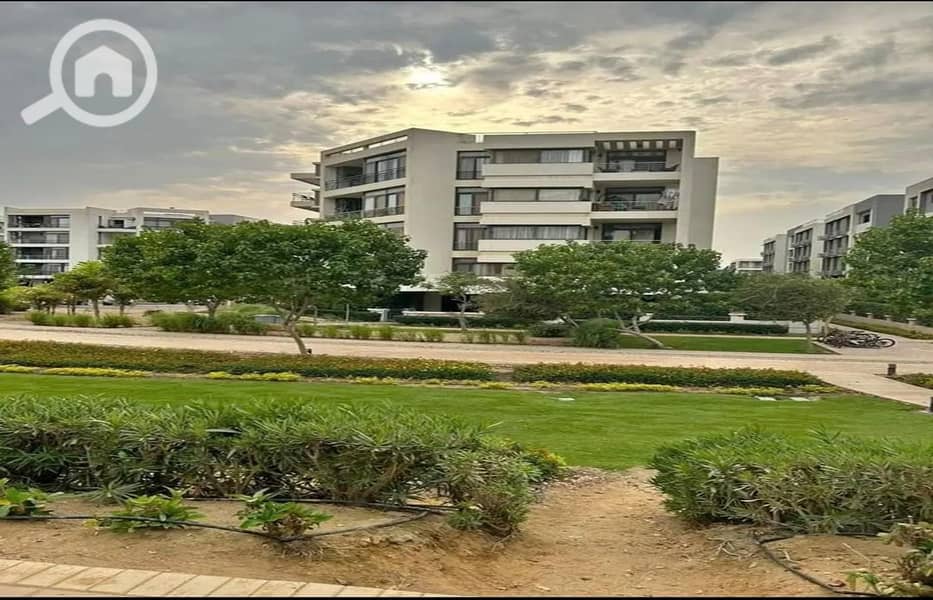 2 8fc01516-62ed-4142-832d-e1247ee4e20d. jpg