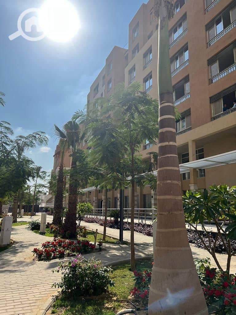 5 WhatsApp Image 2025-09-04 at 4.39. 46 PM. jpeg