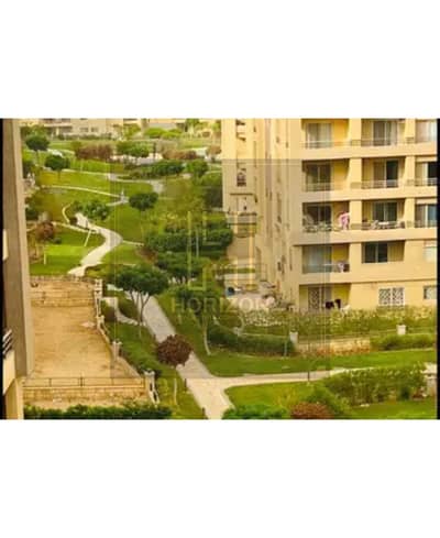 3 Bedroom Flat for Rent in New Cairo, Cairo - 691a48e20ea19263981057. jpg