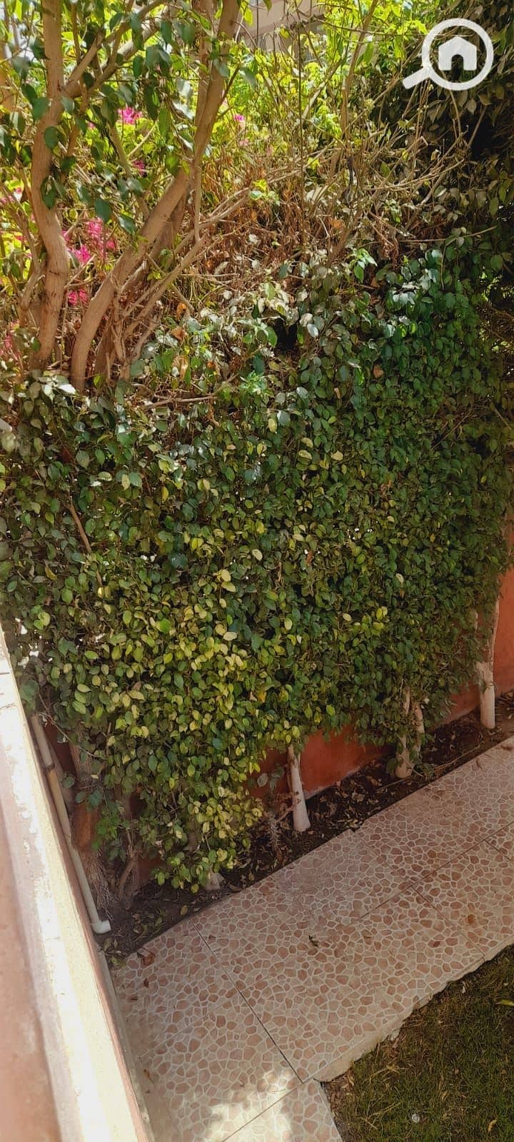 7 6f452a75-f6d4-4e66-ab00-227a37950c00. jpeg