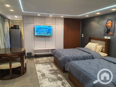 Studio for Rent in Nasr City, Cairo - 1000004176. jpg