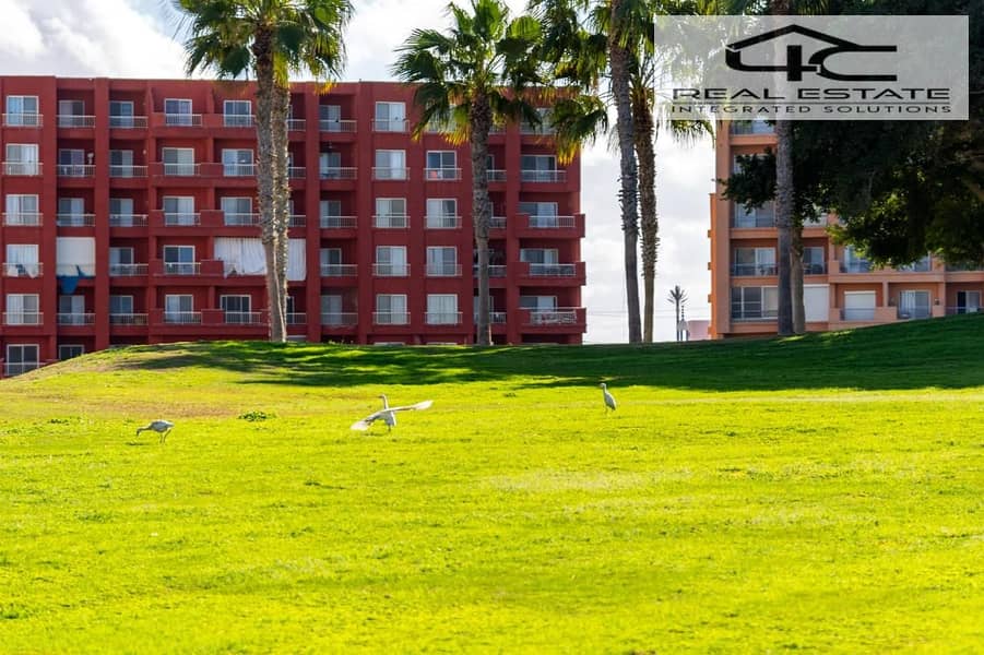 3 WhatsApp Image 2025-12-22 at 4.24. 11 PM. jpeg