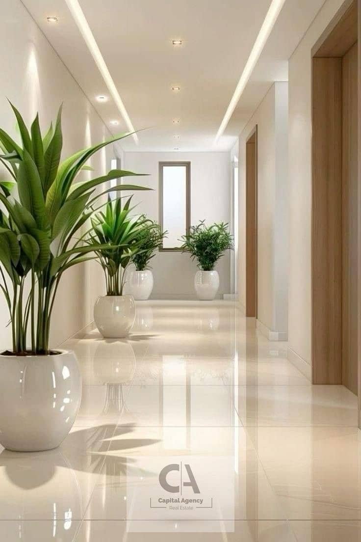 5 009a7eb2fccd4dbd319fd5db0a839830. jpg