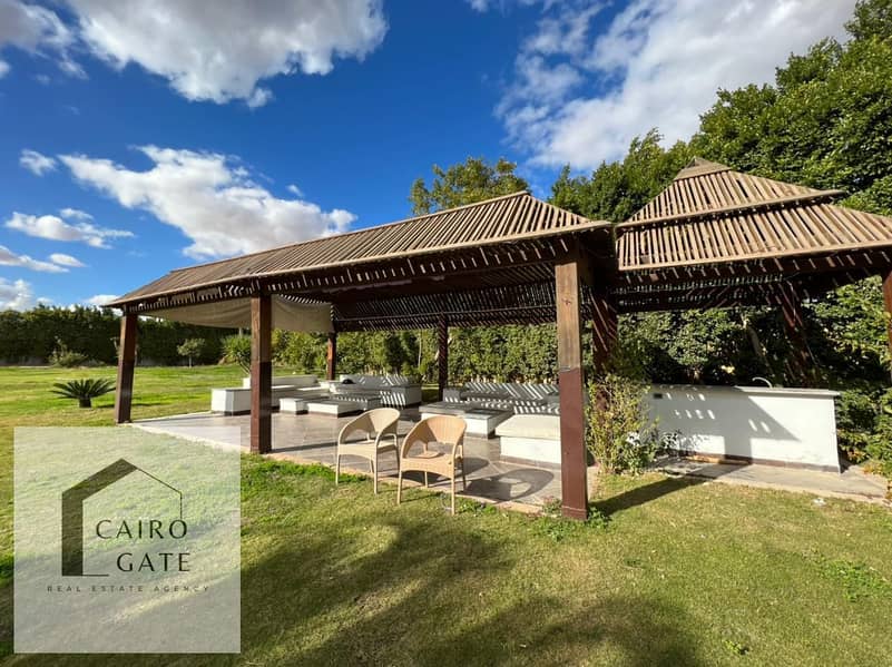 2 523941920_122167182998379487_5438866964354931322_n. jpg