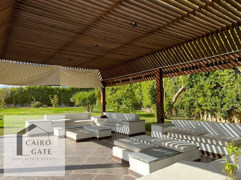 4 523961859_122167183106379487_409753774647866532_n. jpg