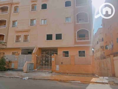 شقة 3 غرف نوم للبيع في القاهرة الجديدة، القاهرة - 1000560137. jpg