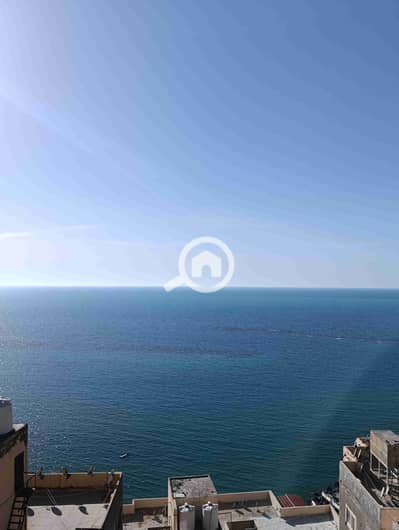 شقة فندقية 2 غرفة نوم للايجار في المندرة، الإسكندرية - 1000246062. jpg