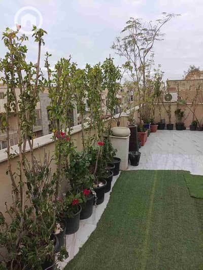 3 Bedroom Flat for Sale in Zahraa Al Maadi, Cairo - 1000365028. jpg