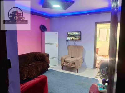2 Bedroom Apartment for Rent in Agami, Alexandria - IMG_٢٠٢٤٠٧٢٥_١٠٣٠٤٩. jpg