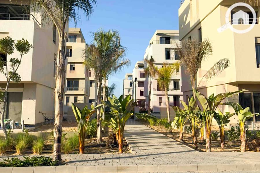 4 WhatsApp Image 2025-12-30 at 12.25. 43 (1). jpg