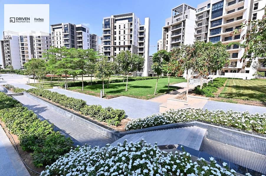 4 de034542-d1bf-4000-8e27-035f851c9760. jpeg