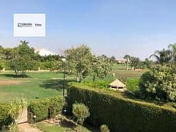 4 10768d5c-d42d-4321-9e6d-259ce9cf9325. jfif. jpg